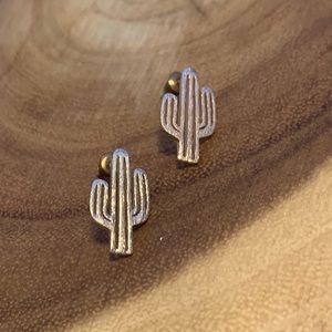 Park and Buzz post style earrings